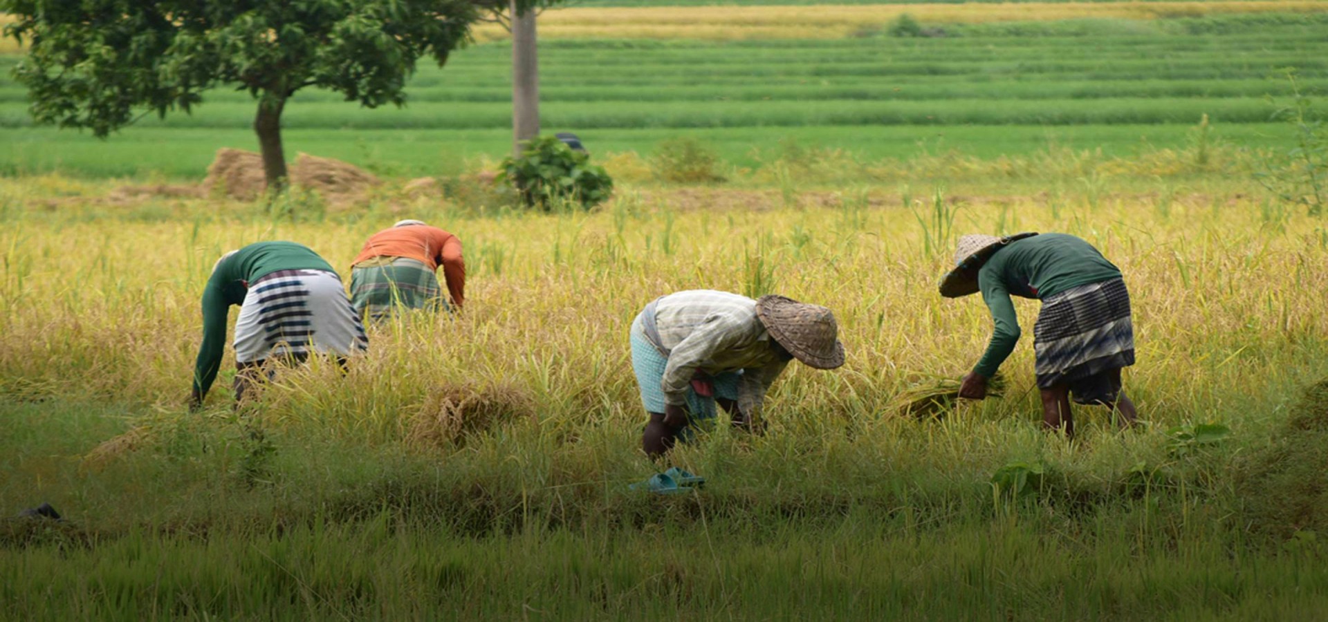Farm. <span>Connect. Grow.</span>